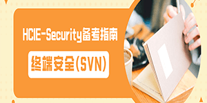 终端安全(SVN)——HCIE-Security_备考指南