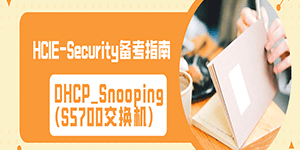 DHCP_Snooping(S5700交换机)——HCIE-Security_备考指南