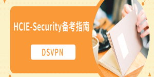 DSVPN——HCIE-Security_备考指南