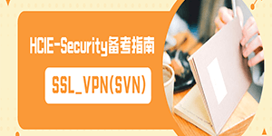 SSL_VPN(SVN)——HCIE-Security_备考指南