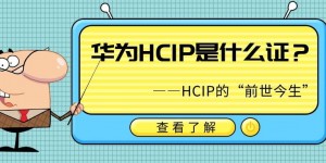 有多少人过了hcip？