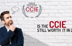 2019年全球有多少CCIE？